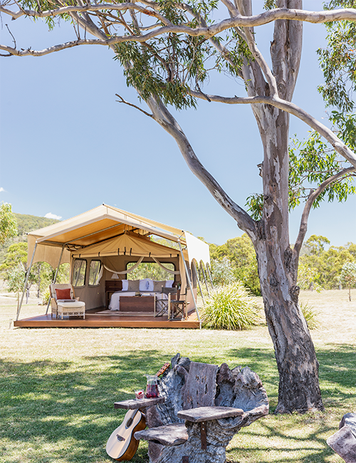 Spicers Canopy Glamp Tent